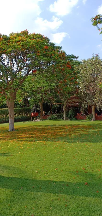 Sakkara Country Club Hotel El Hawamdeya Ngoại thất bức ảnh
